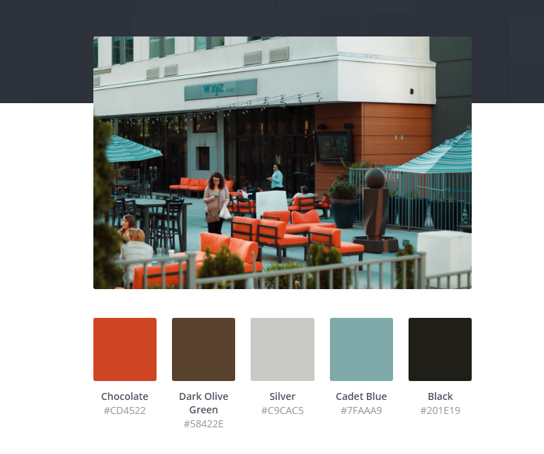 Canva color palette