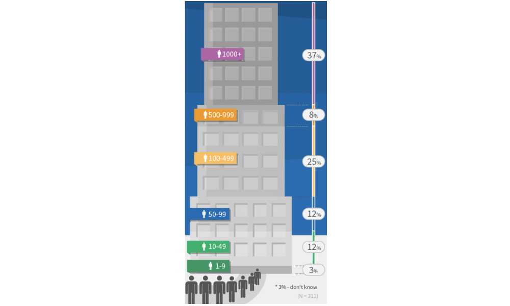 Ranorex use by company size