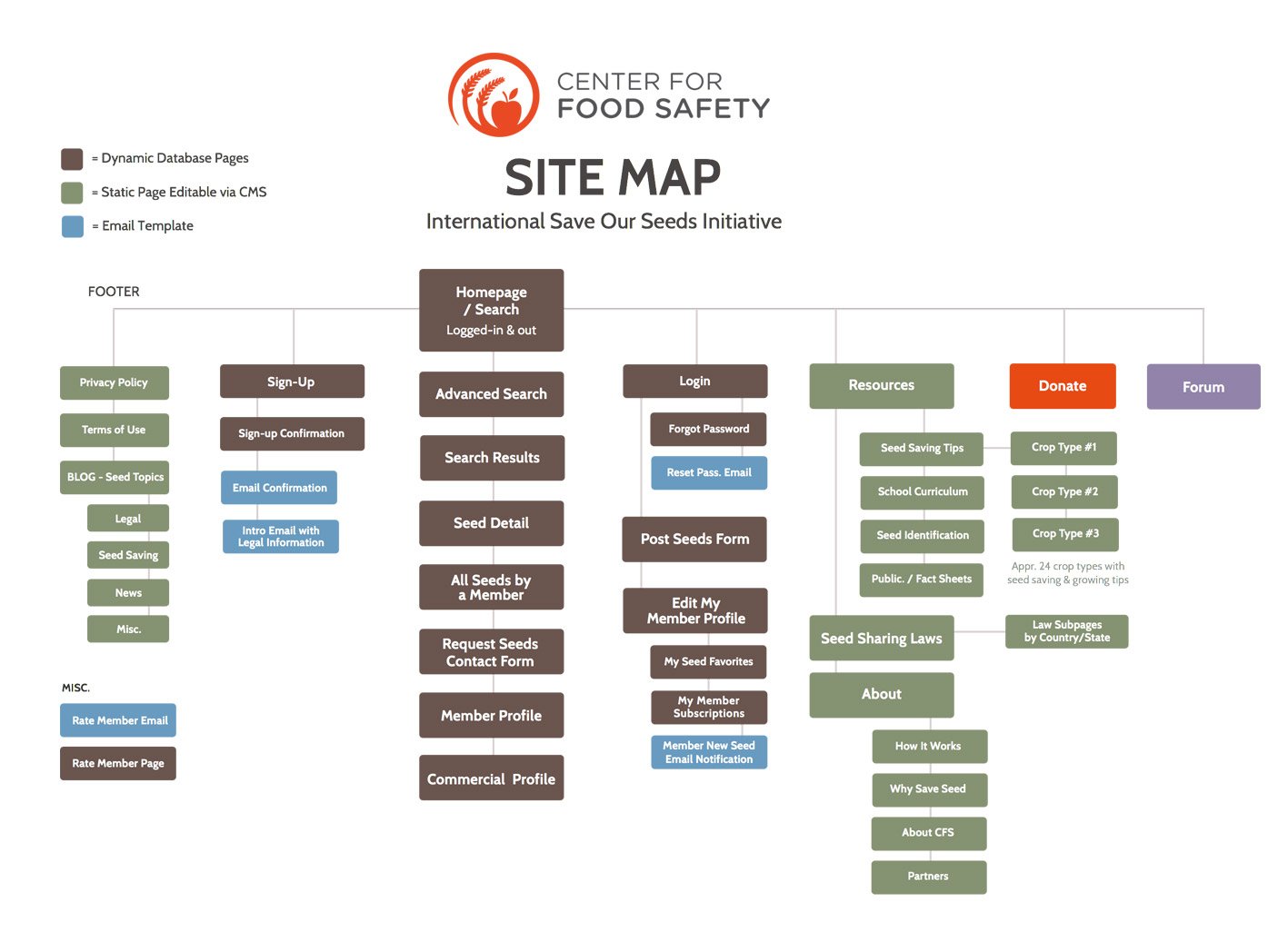 Information Architecture For Web Design Step By Step Guide AltexSoft