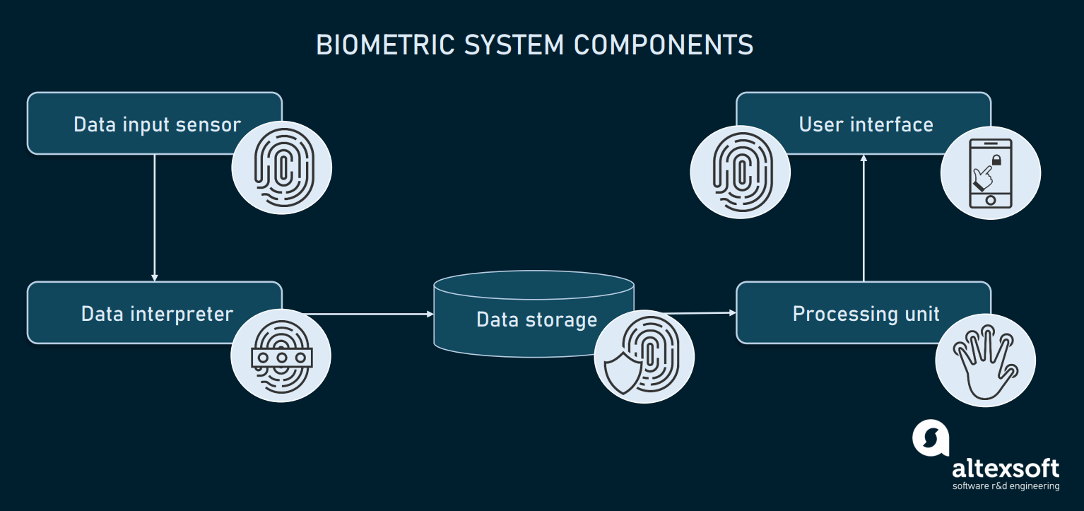 Example For Biometric Data at Crystal Twyman blog