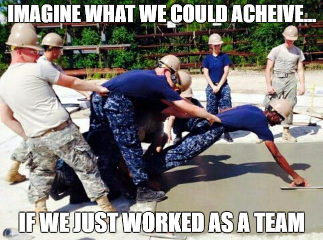 meme about cross-functional team