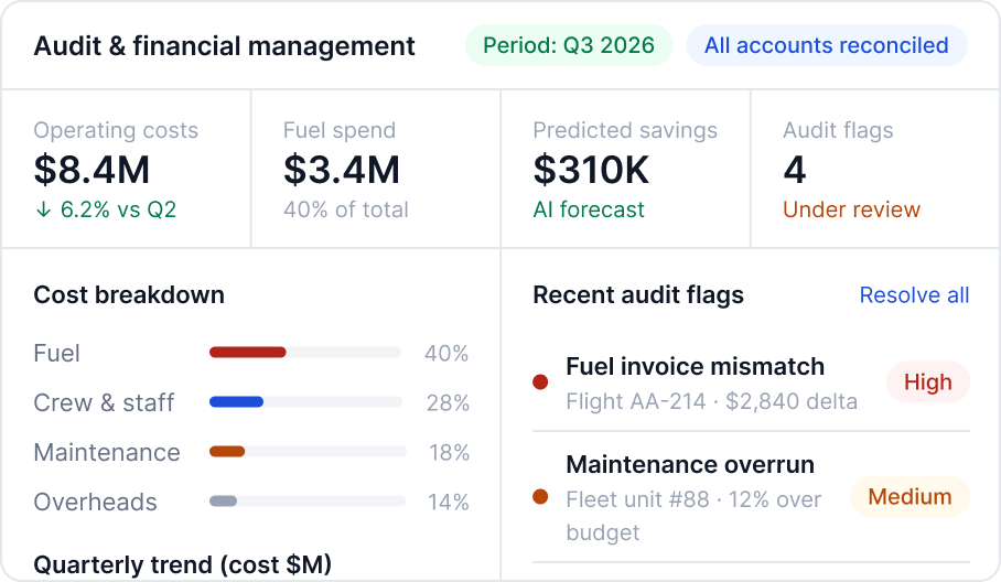 Audit and financial management dashboard showing reporting period, revenue, cost breakdown, recent audit flags and quarterly trend.