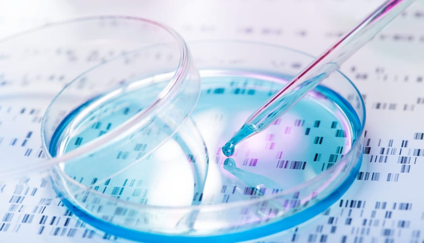 AI in Drug Discovery and Repurposing: Benefits, Approaches, and Use Cases