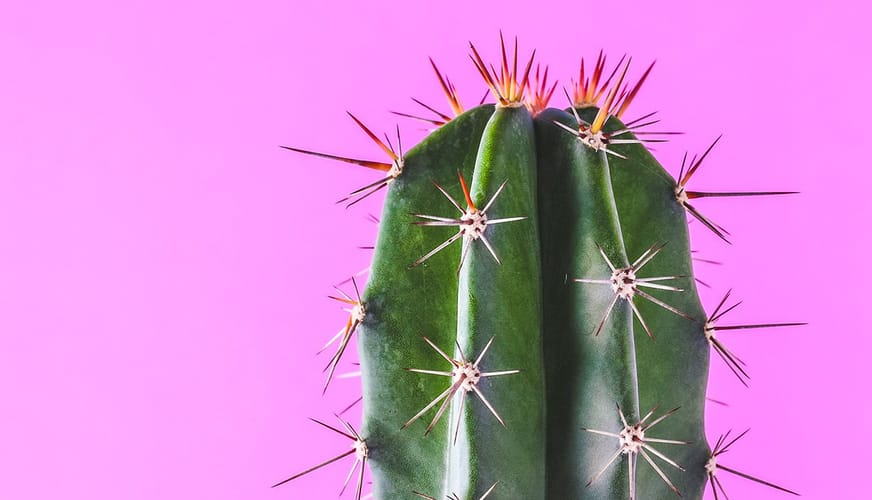 customer pain points