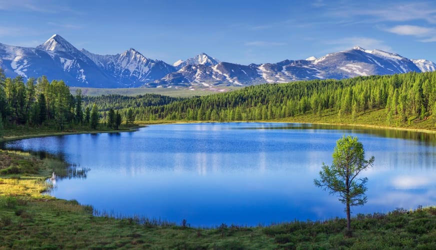 Data Lake Explained: A Comprehensive Guide to Its Architecture and Use Cases