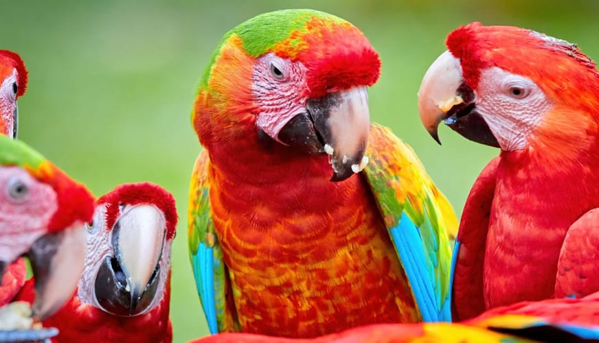 chatgpt-integrtion-in-travel