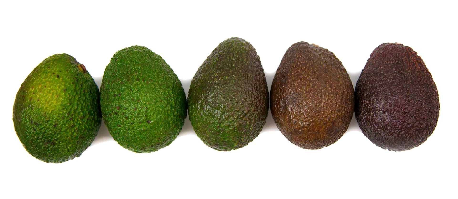 ripening avocados