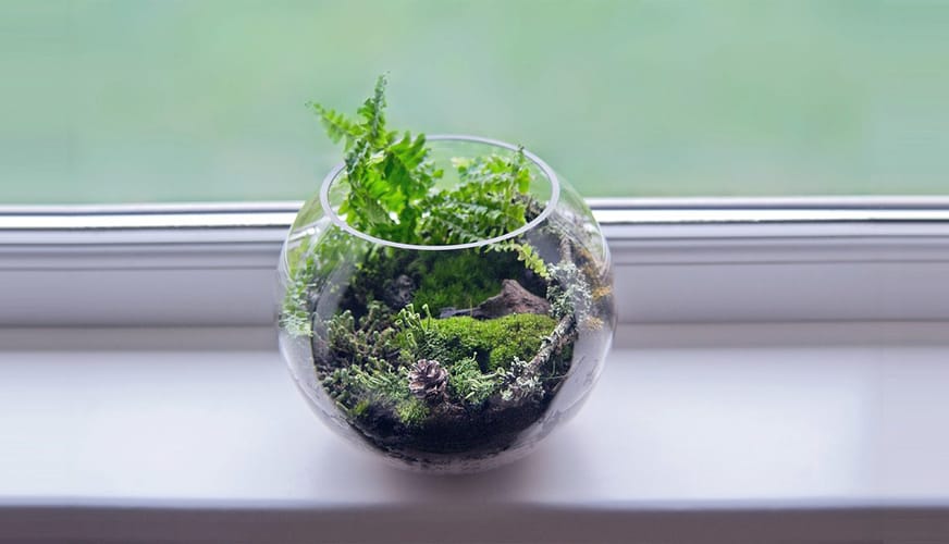 feature carbon offset