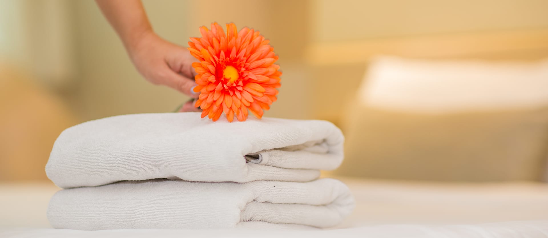 guest exp feature