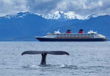 cruise lines overview