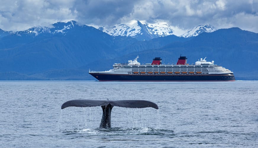 cruise lines overview