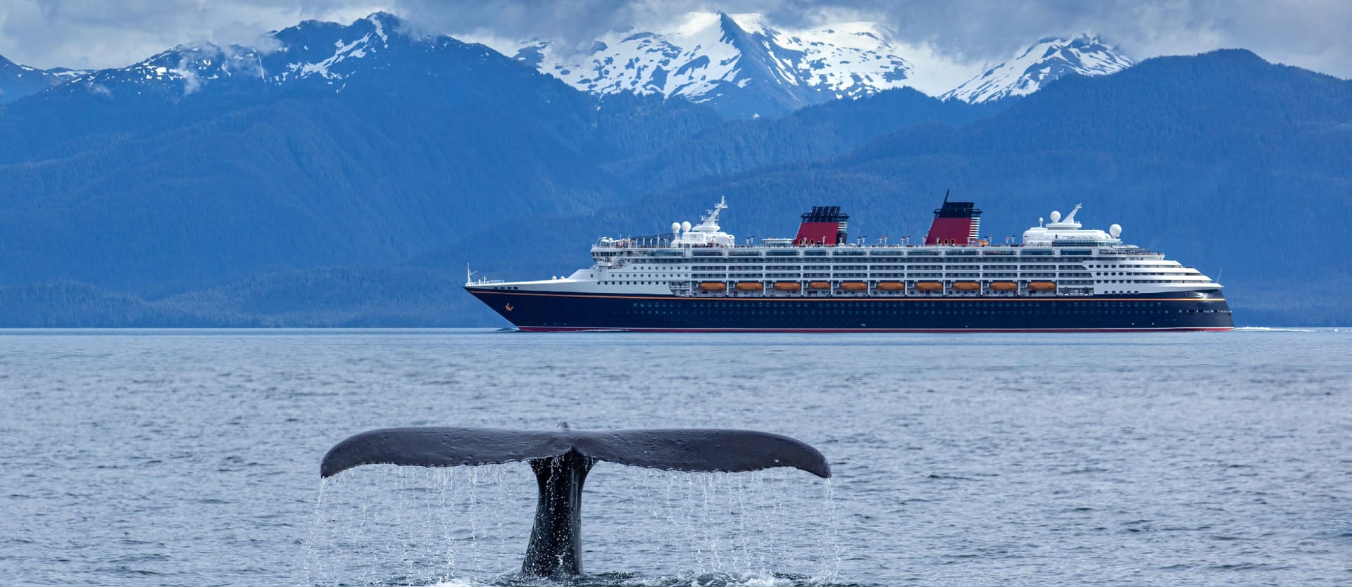 cruise lines overview