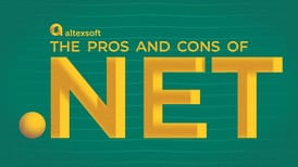 The Pros and Cons of .NET Framework