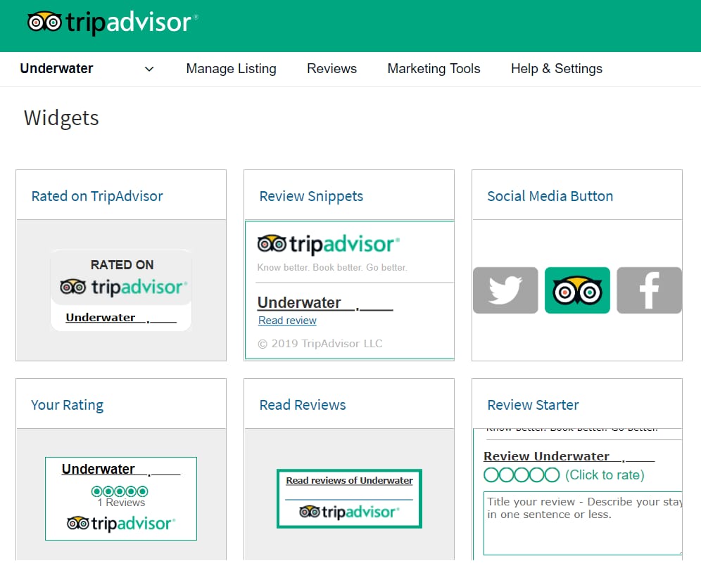 available TripAdvisor Widget options