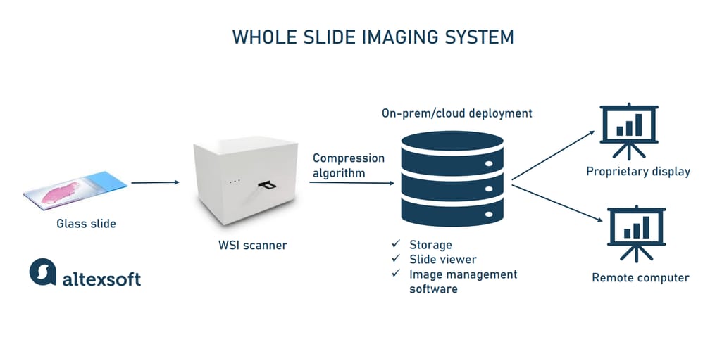 Whole slide imaging system