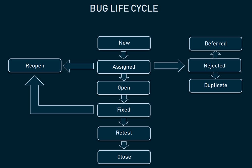 Bug life cycle