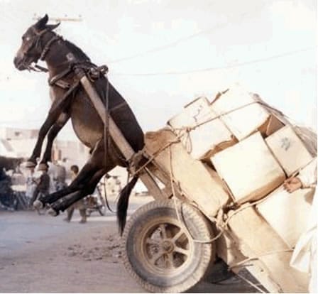 donkey wagon overload