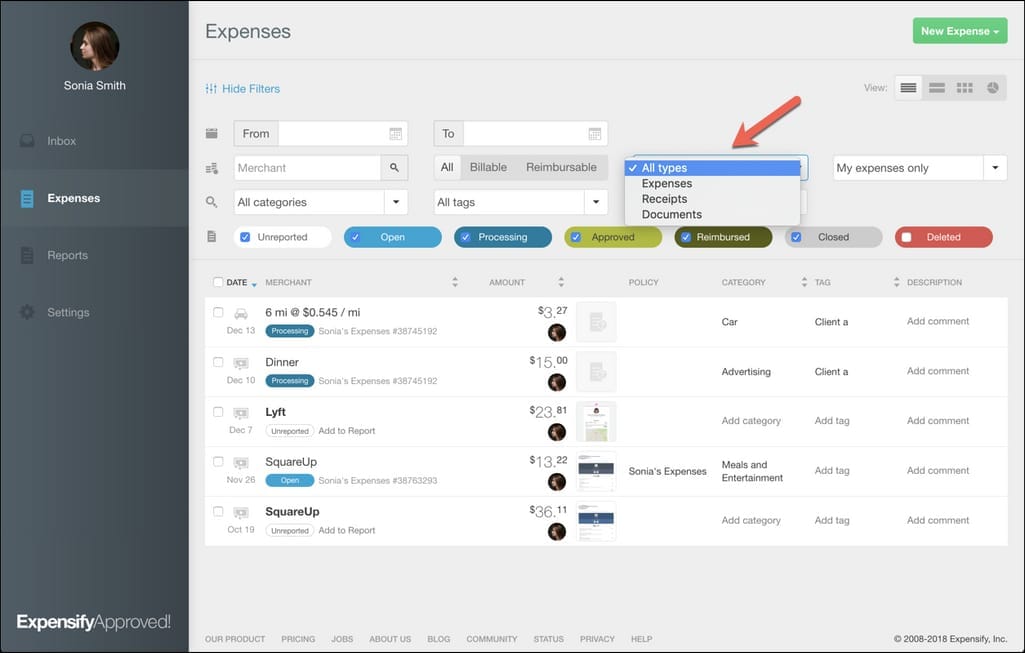 Expenses report