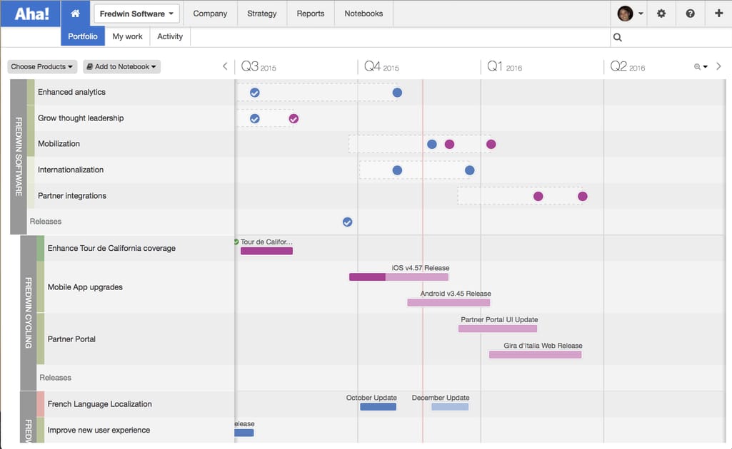 Portfolio roadmap example