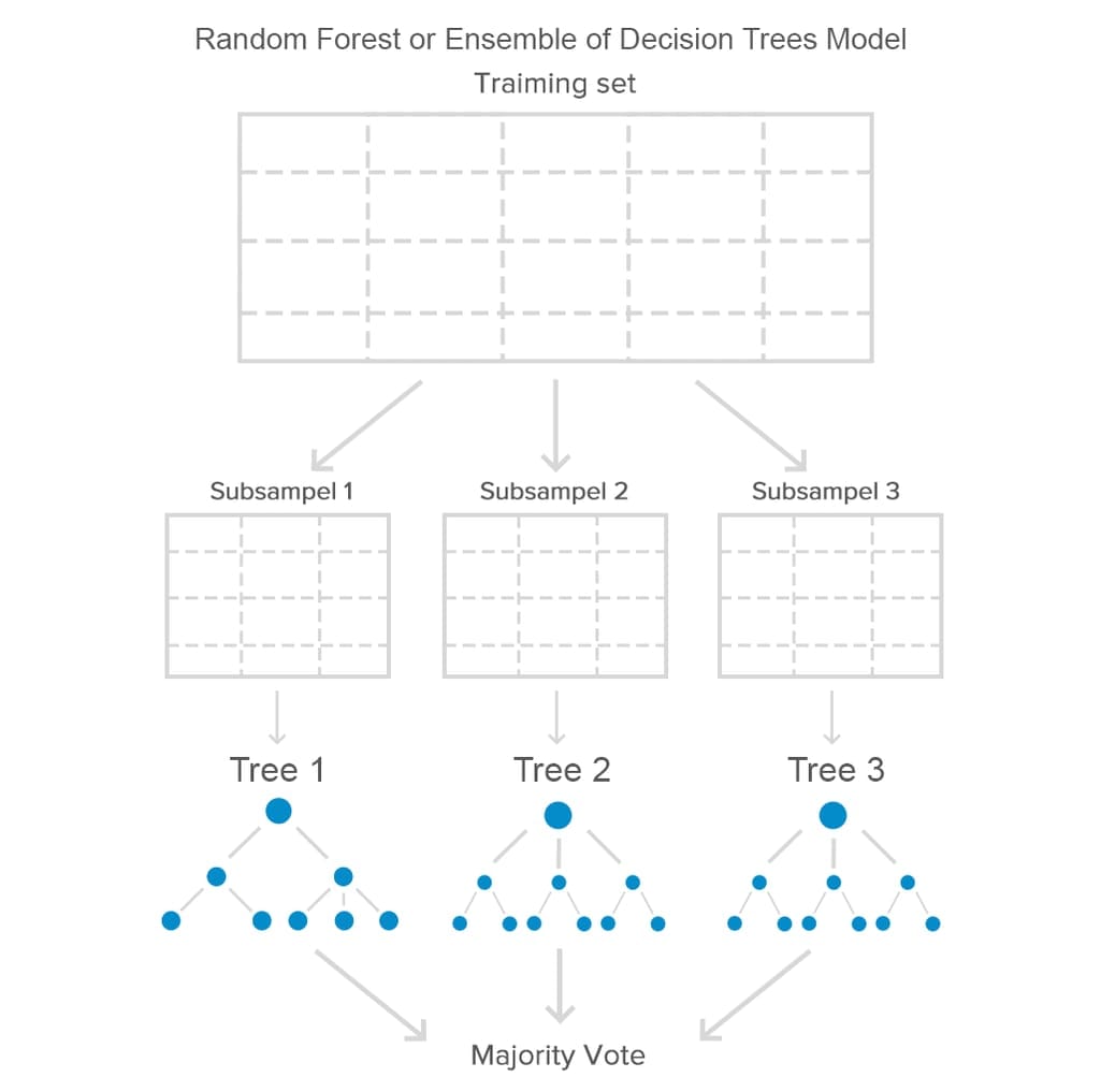 Random Forest Model