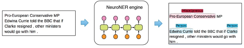 How NeuroNER works. Source: NeuroNER.com