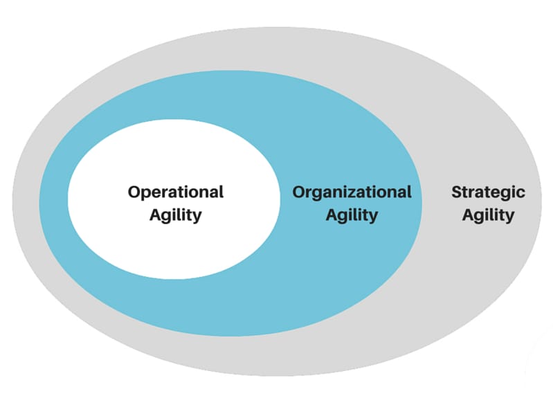 Levels of business agility 