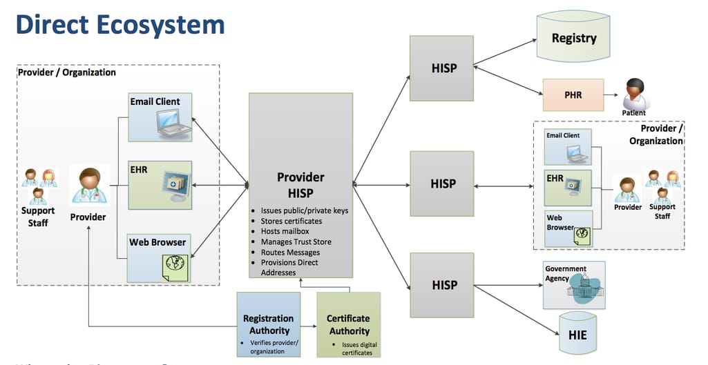 direct project ecosystem