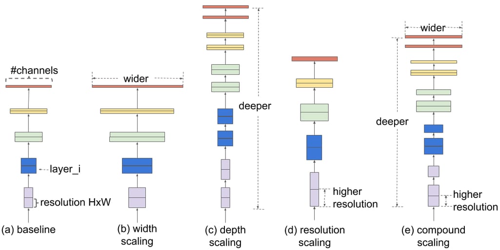 EfficientNet architecture 