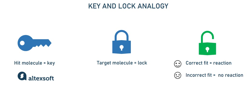 Key and lock analogy in drug discovery. 