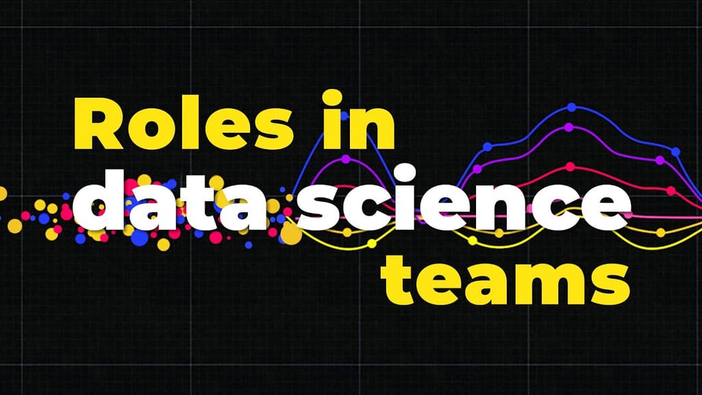Roles in Data Science Teams