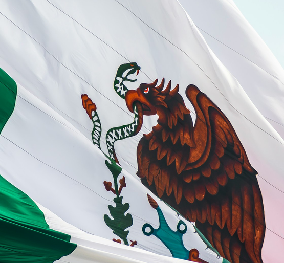 jorge aguilar vZ TqSm ZsQ unsplash