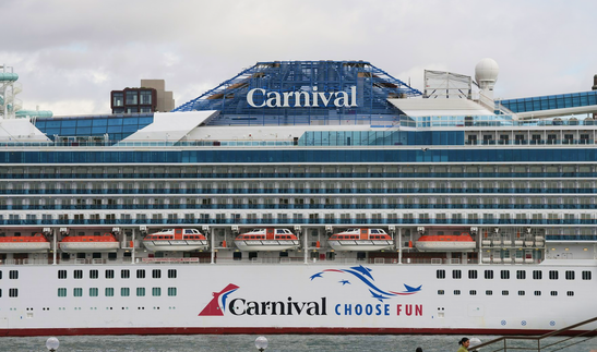 treesan vZ lGC d unsplash