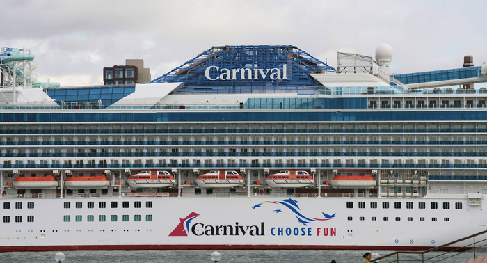 treesan vZ lGC d unsplash