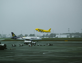 brice cooper u hHV f unsplash
