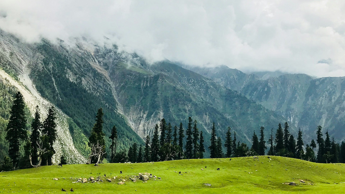 bhavesh sawant Qwks FIeQc unsplash