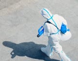 hantavirus US